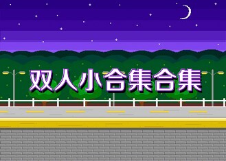 双人小合集合集