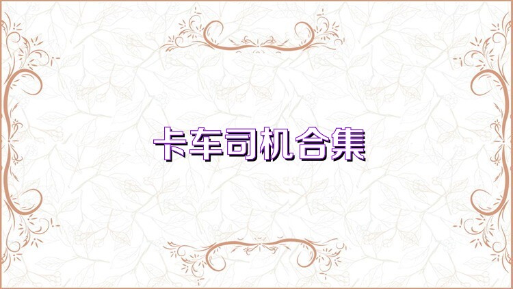 卡车司机合集