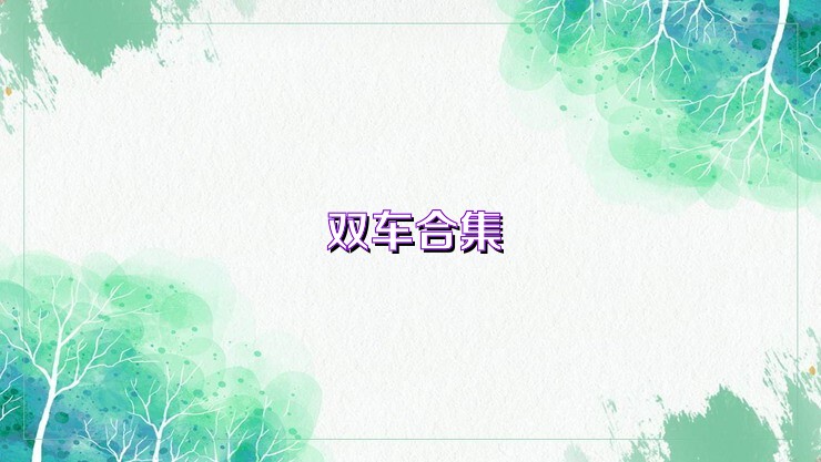双车合集