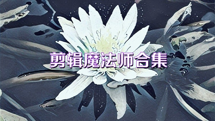 剪辑魔法师合集