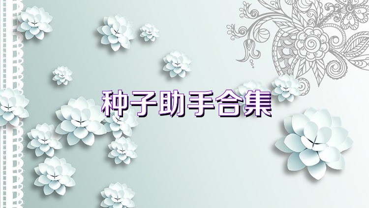 种子助手合集