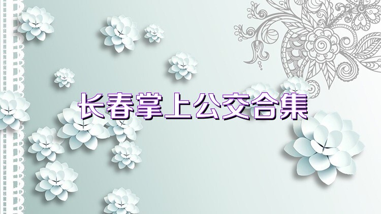 长春掌上公交合集