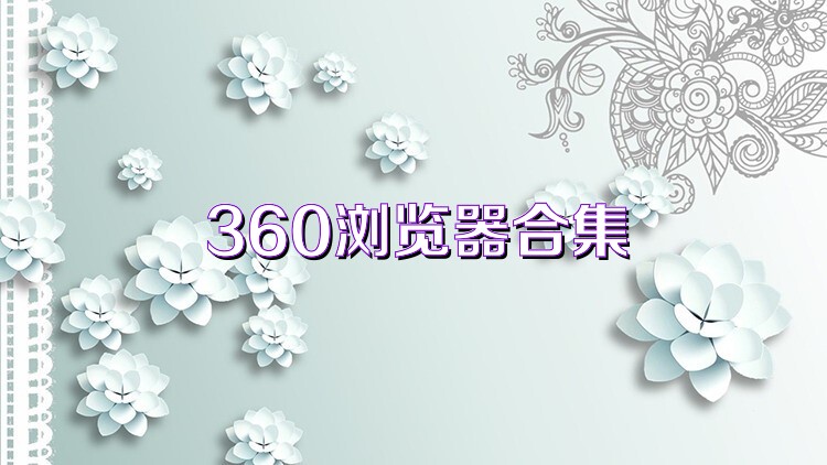 360浏览器合集