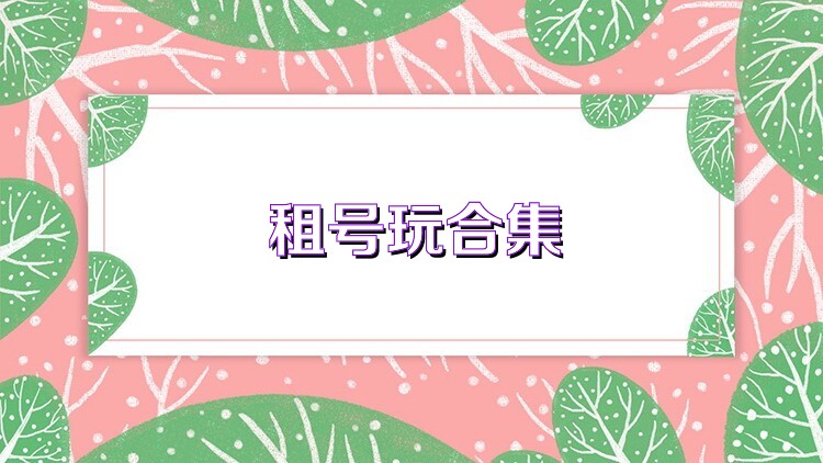 租号玩合集