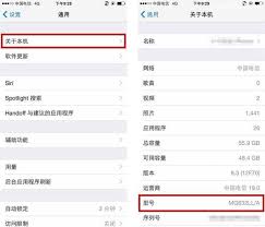 如何查询iphone型号