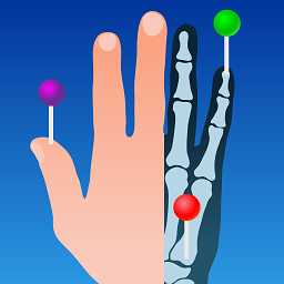 e-anatomy