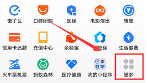 支付宝如何缴纳2025年合作医疗