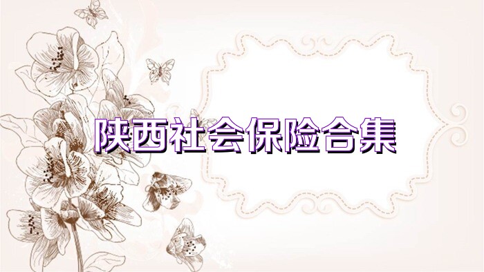 陕西社会保险合集