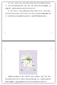 word中图片排版如何防止错乱