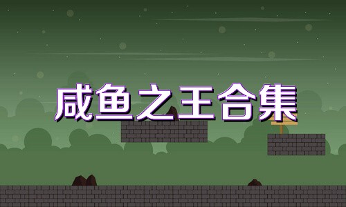 咸鱼之王合集