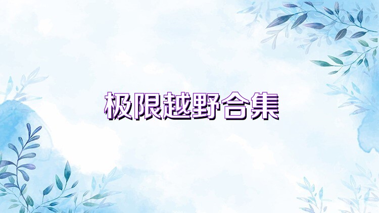 极限越野合集