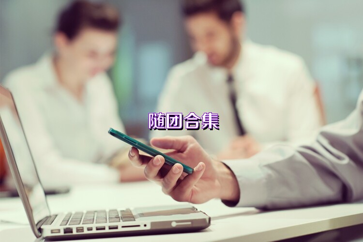 随团合集