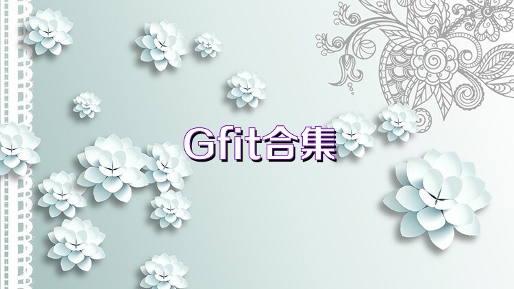 Gfit合集