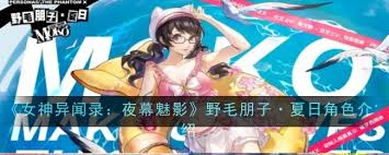 女神异闻录夜幕魅影野毛朋子·夏日角色评测如何