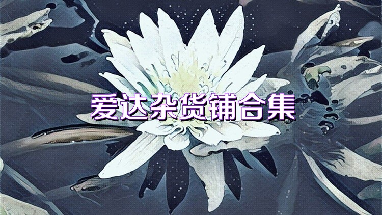 爱达杂货铺合集