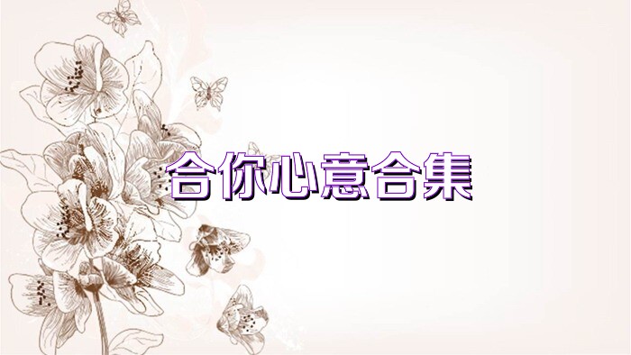 合你心意合集