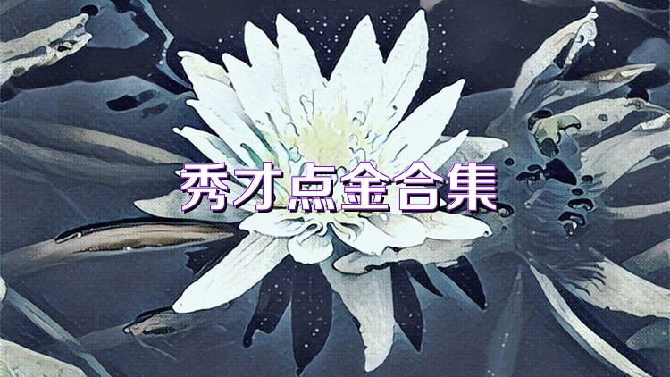 秀才点金合集