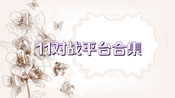 11对战平台合集