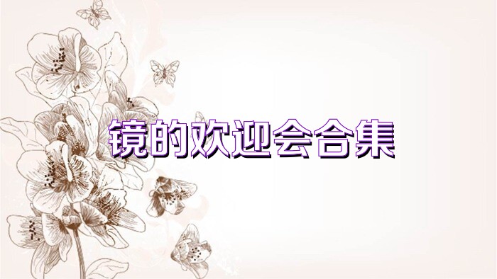 镜的欢迎会合集