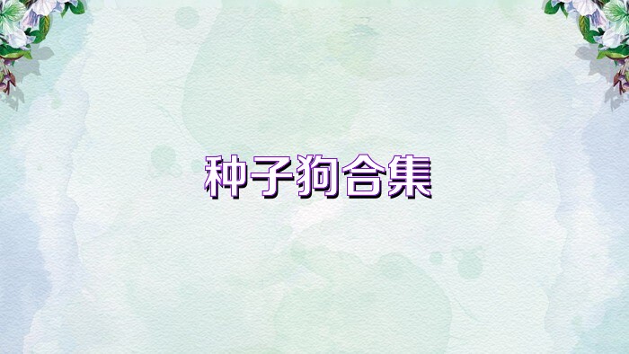 种子狗合集