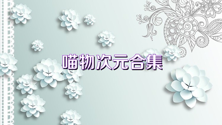 喵物次元合集