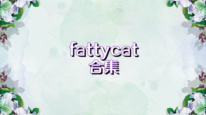 fattycat合集