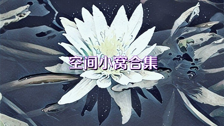 空间小窝合集