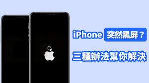 苹果手机黑屏有声音屏幕不亮如何解决