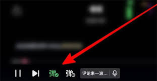 苹果爱奇艺弹幕开关位置在哪