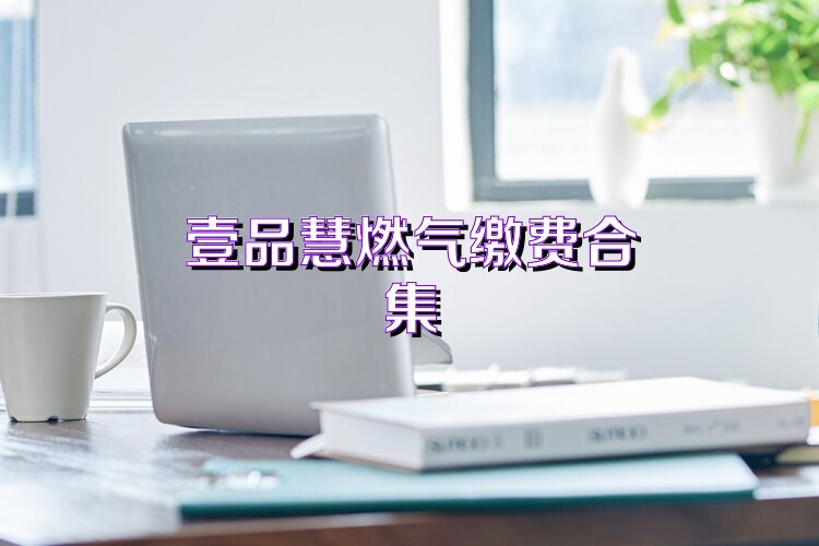 壹品慧燃气缴费合集