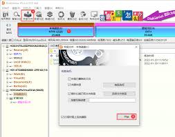diskgenius如何恢复特定类型文件