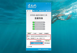 电脑蓝屏如何安装系统