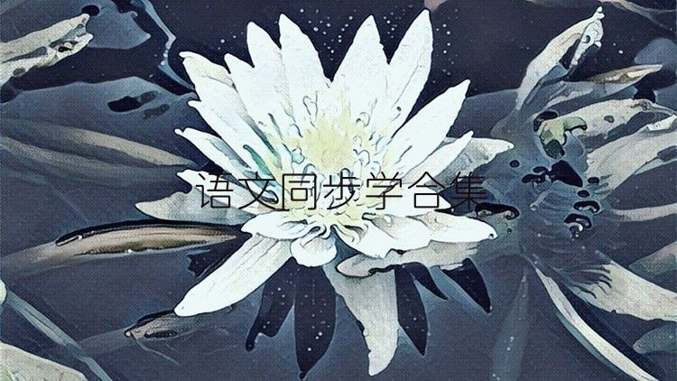 语文同步学合集