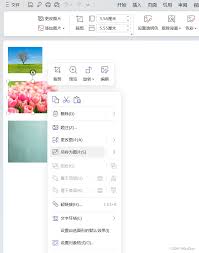 怎样快速导出word文档里的所有图片