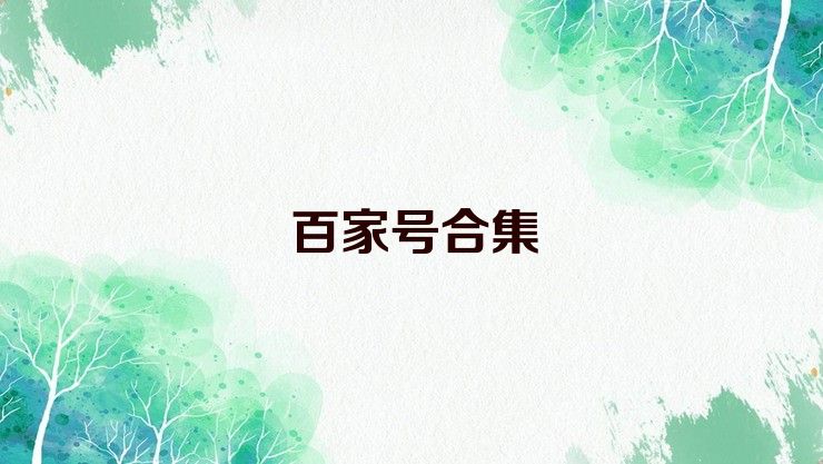 百家号合集
