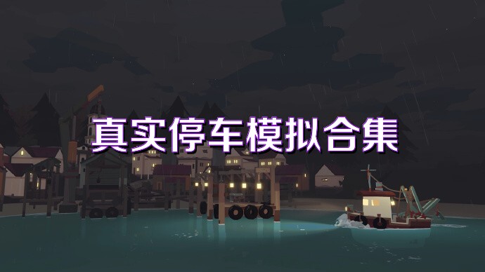 真实停车模拟合集