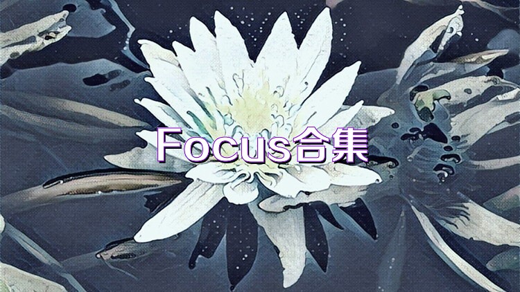 Focus合集