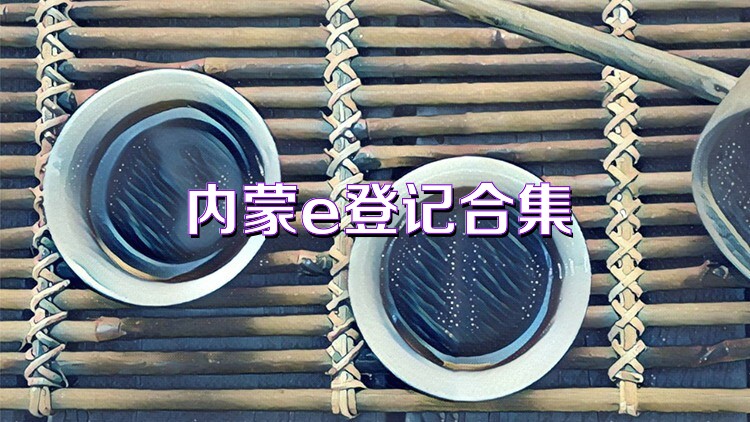 内蒙e登记合集