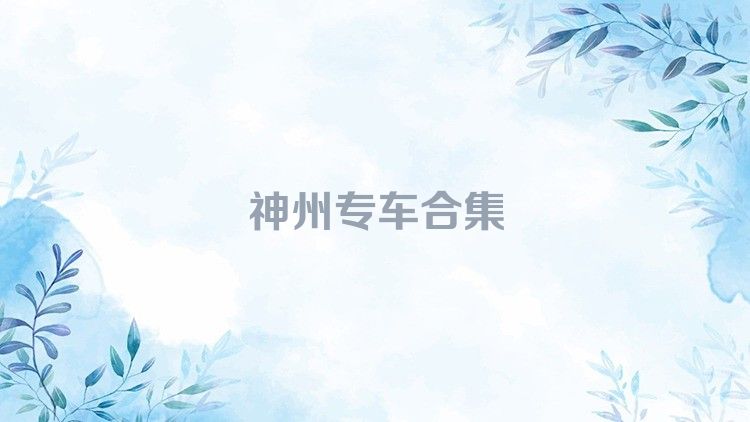 神州专车合集