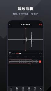 有什么读书录音打卡软件
