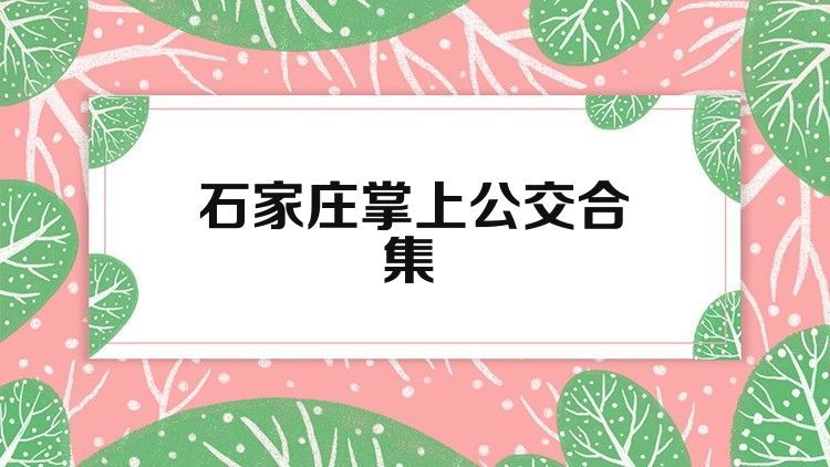 石家庄掌上公交合集