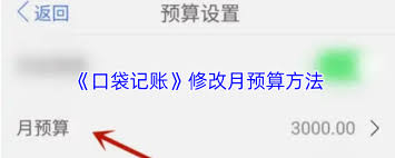 口袋记账如何修改月预算