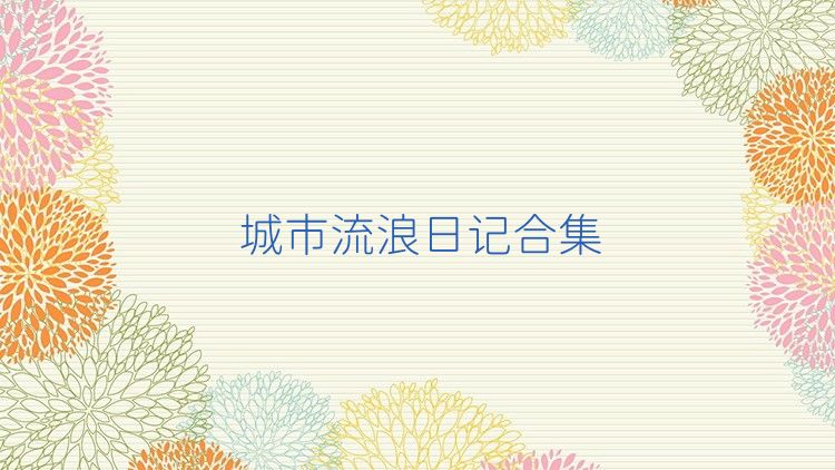 城市流浪日记合集