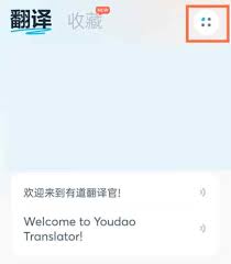有道翻译官如何进行屏幕翻译