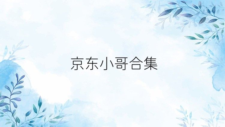 京东小哥合集