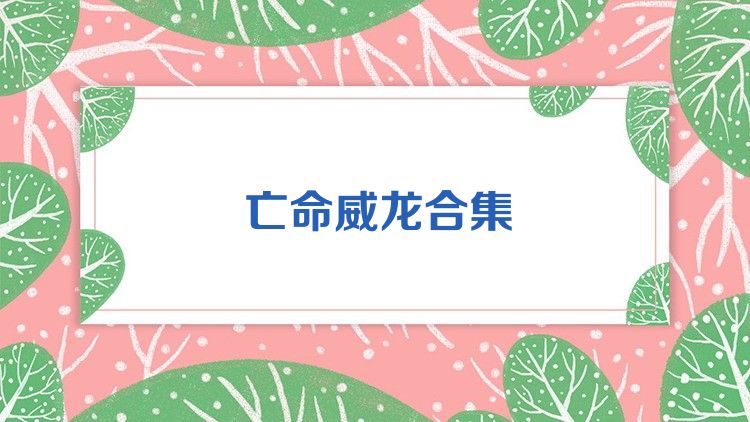 亡命威龙合集