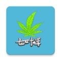 光标谱