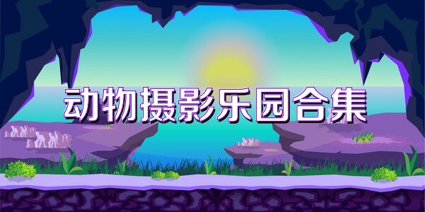 动物摄影乐园合集