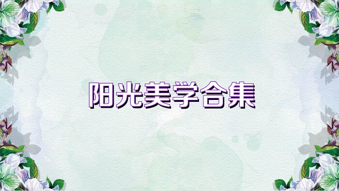 阳光美学合集