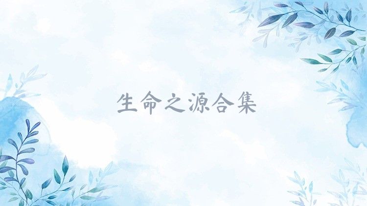 生命之源合集